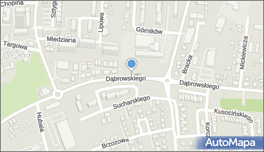 SP nr 2, gen. Jarosława Dąbrowskiego 1a, Polkowice 59-100 - Szkoła podstawowa