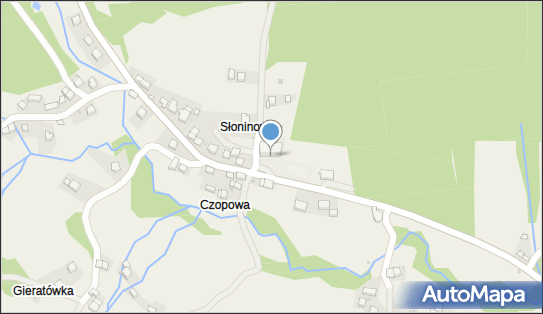 SP w Bogdanówce, Bogdanówka 100, Bogdanówka 32-437 - Szkoła podstawowa, numer telefonu