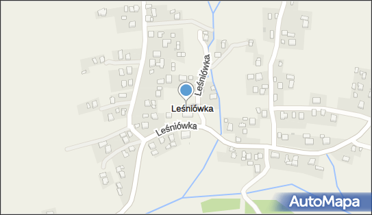 SP, Leśniówka 85, Leśniówka 38-458 - Szkoła podstawowa, numer telefonu