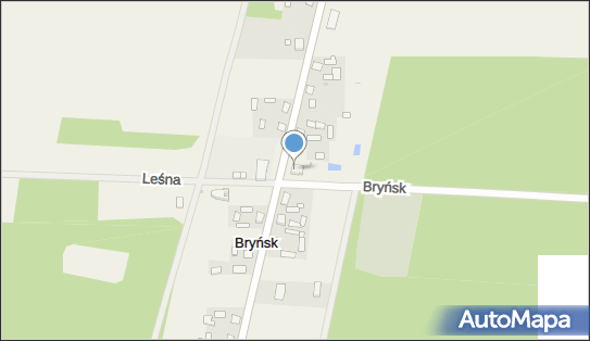SP, Bryńsk 72, Bryńsk - Szkoła podstawowa