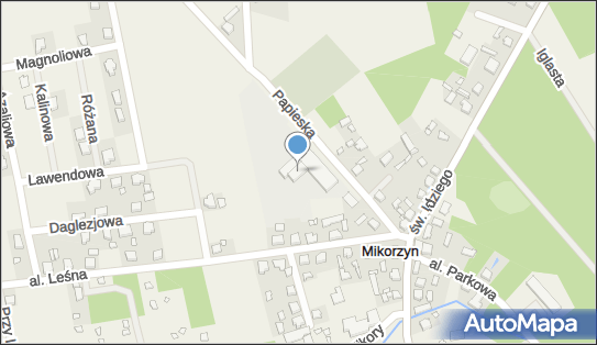6191060239, Szkoła Podstawowa im.Jana Pawła II w Mikorzynie 