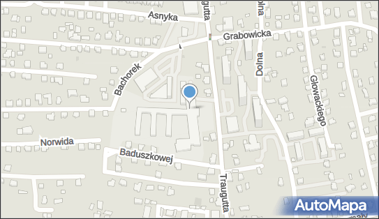 Szkoła Policealna Nr 2, Romualda Traugutta 11 43-502 - Szkoła policealna, numer telefonu