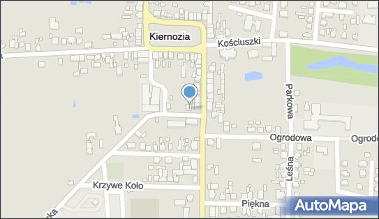 Młodzieżowy Ośrodek Socjoterapii, Sobocka 2, Kiernozia 99-412 - Szkoła Specjalna, numer telefonu