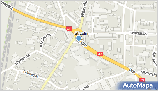 HANDICAP I MANAGER, Plac 1 Maja 10, Strzelin 57-100 - Szkoła