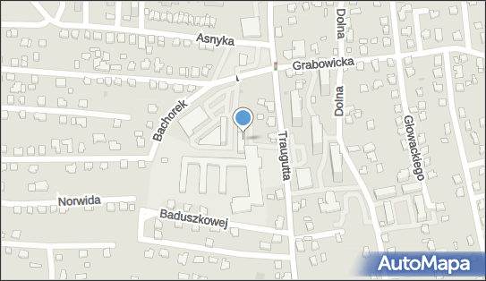 Ośrodek Doskonalenia Zawodowego, gen. Traugutta Romualda 11 43-502 - Szkolenia, Kursy, Korepetycje, godziny otwarcia, numer telefonu