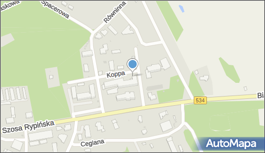 Szpital Powiatowy, dra Koppa Jerzego Gerarda 1e, Golub-Dobrzyń 87-400 - Szpital, numer telefonu