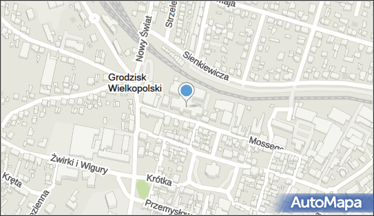 Szpital SP ZOZ, Mossego 17, Grodzisk Wielkopolski 62-065 - Szpital, numer telefonu