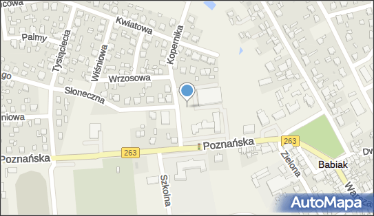 Targowisko, Kopernika Mikołaja, Babiak 62-620 - Targowisko