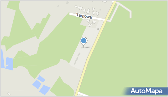 Targowisko, DW 728 x DW 786, Łopuszno - Targowisko