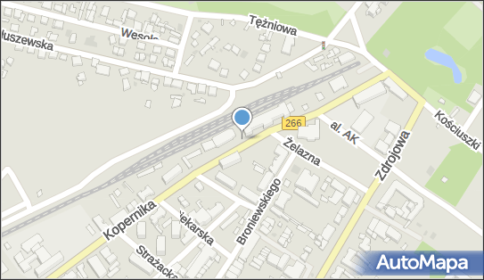 Postój Taxi, Kopernika Mikołaja266, Ciechocinek 87-720, 87-722 - Taxi - Postój