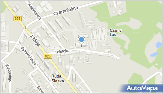 Technikum Nr 4, Lwa Tołstoja 13, Ruda Śląska 41-709 - Technikum, numer telefonu