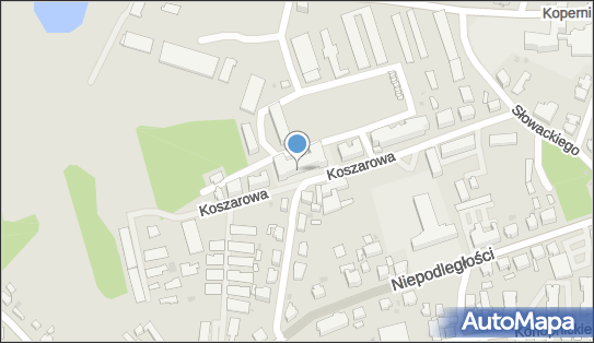 Technikum, Koszarowa 10, Szprotawa 67-300 - Technikum, numer telefonu