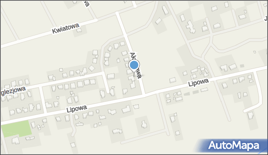 BOLESŁAW LUDWICZAK BLT, Akacjowa 3, Bolechówko 62-005 - Tłumacz przysięgły