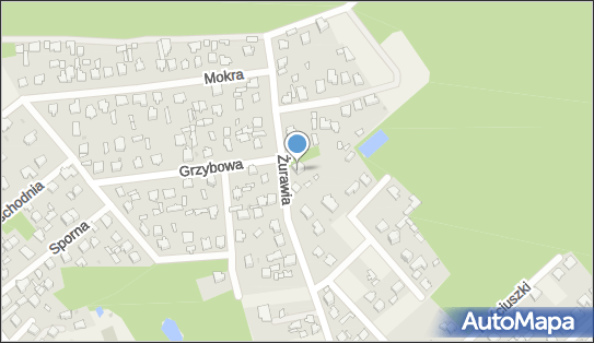 142386848, Języki i Muzyka mgr B.Papis mgr E.Pikula Tłumaczenia, Dydaktyka, Wykonawstwo Edward Pikula 