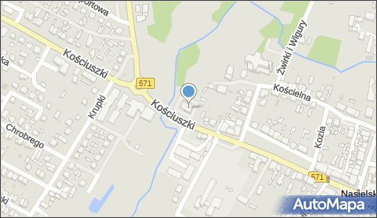 Top Market - Supermarket, Kościuszki 40A, Nasielsk 05-190, godziny otwarcia, numer telefonu