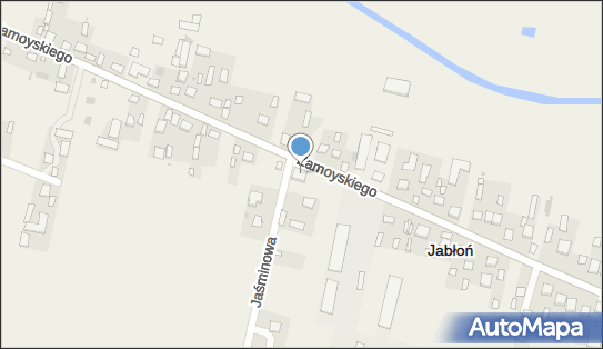 Top Market - Supermarket, Zamoyskiego 71, Jabłoń 21-205