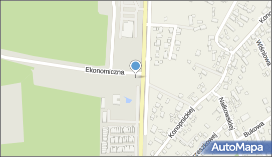 nr 6685, Ekonomiczna, Nowa Sól 67-100 - Trafostacja