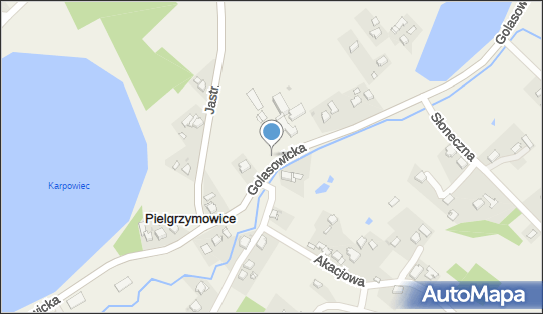 nr W559, Golasowicka, Pielgrzymowice 43-253 - Trafostacja