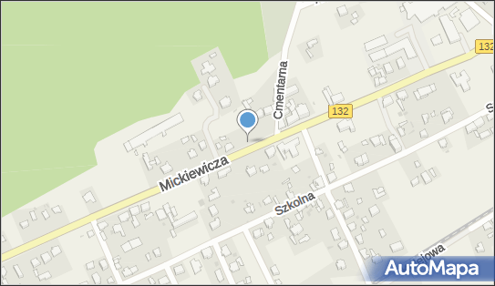 Trafostacja, DW 132, Adama Mickiewicza, Bogdaniec - Trafostacja