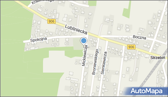 Trafostacja, Mickiewicza Adama 1, Strzebiń 42-288 - Trafostacja