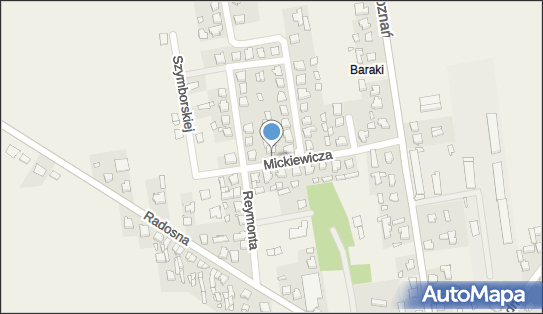 Trafostacja, Mickiewicza Adama 10, Opatów 63-645 - Trafostacja