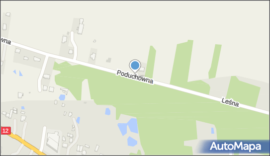 Trafostacja, Poduchowna 87, Tłokinia Kościelna 62-860 - Trafostacja