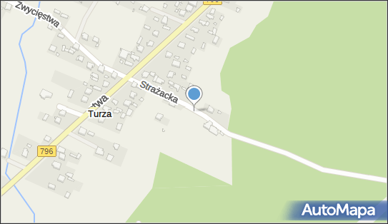 Trafostacja, Strażacka 9, Turza 42-458 - Trafostacja