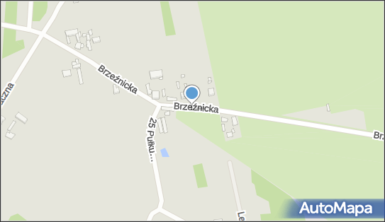 Trafostacja, Brzeźnicka 68, Piotrków Trybunalski 97-300 - Trafostacja