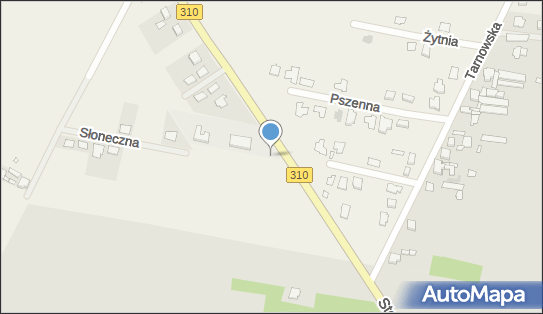 Trafostacja, Piechanin 1B, Piechanin 64-020 - Trafostacja