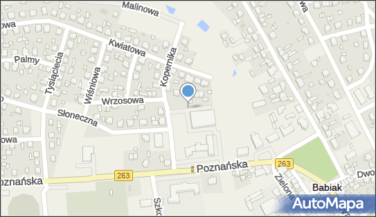 Trafostacja, Poznańska 10a, Babiak 62-620 - Trafostacja