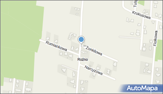 Trafostacja, Hiacyntowa 22, Rożno-Parcele 87-700 - Trafostacja