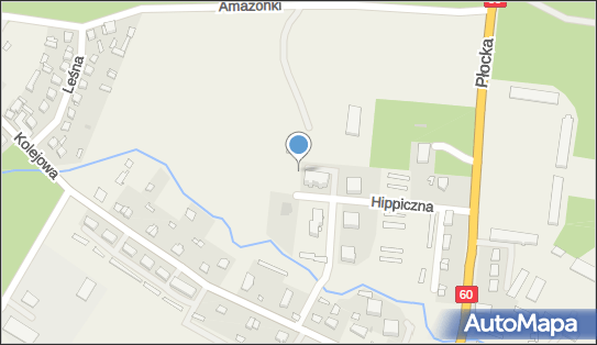 Trafostacja, Hippiczna 6, Łąck 09-520 - Trafostacja