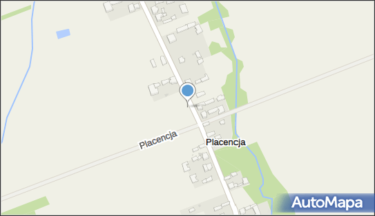 Trafostacja, Placencja 28, Placencja 99-400 - Trafostacja