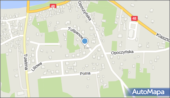 Trafostacja, Liliowa 22, Inowłódz 97-215 - Trafostacja