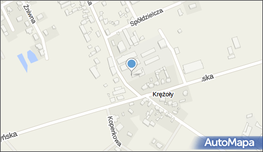 Anapack Sp. z o.o., Kargowska 4, Krężoły 66-100 - Usługi, numer telefonu