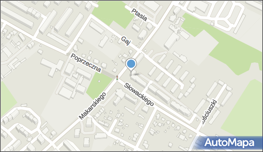 9171157345, Błysk Małgorzata Ślepowrońska 