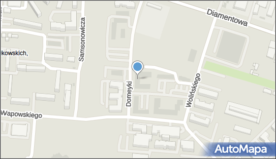 061263338, Maksym Ferents Consulting 