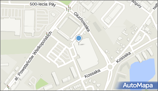 Pozycjonowanie Piła, Aleja Powstańców Wielkopolskich 99, Piła 64-920 - Usługi, numer telefonu