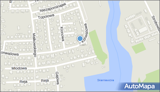 AUTO-GARAŻ, Konwaliowa 7, Skierniewice - Warsztat blacharsko-lakierniczy, numer telefonu