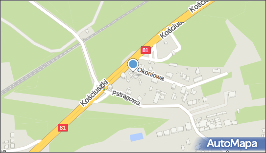 AUTO Plinta Warsztat Mechaniczno-Blacharski PLINTA JERZY, Katowice 40-748 - Warsztat naprawy samochodów, numer telefonu