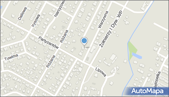 9581003825, Alldecor Aleksandra Pawłowska 