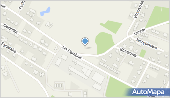 D-STAN.PL - warsztat samochodowy, Lesoki 1a, Bojano 84-207 - Warsztat naprawy samochodów, numer telefonu