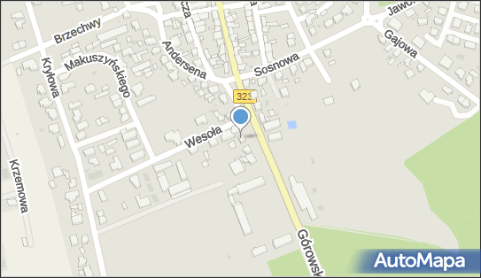 Mechanika pojazdowa - Robert Jadach, Górowska 34, Leszno 64-100 - Warsztat naprawy samochodów, godziny otwarcia, numer telefonu