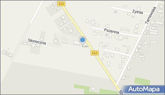 Warsztat naprawy samochodów, Piechanin310, Piechanin 64-020 - Warsztat naprawy samochodów