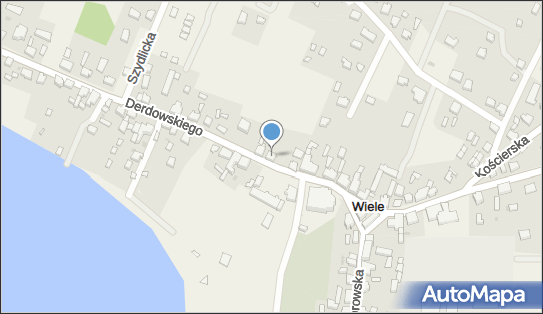 Sklep Ogólnospożywczy Chmielecki Henryk Włodzimierz, Wiele 83-441 - Warzywno-owocowy - Sklep, NIP: 5911079411