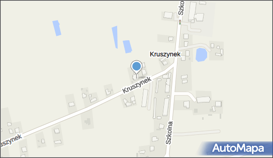8882594192, Sklep Spożywczo - Przemysłowy Balcerowska Kamila 
