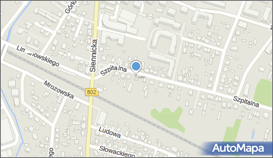 8221661603, Sklep Spożywczo-Warzywniczy Lidia Gójska 