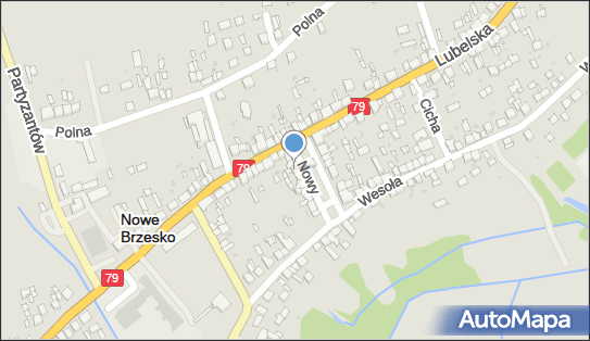Sklep Warzywno Spożywczy, Nowy Rynek 3, Nowe Brzesko 32-120 - Warzywno-owocowy - Sklep, NIP: 6821420054