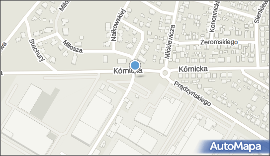Watis - Stacja paliw, ul. Kórnicka 52, Środa Wlkp. 63-000, numer telefonu