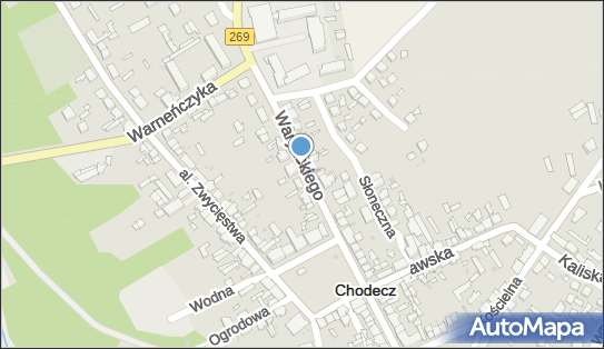 Wędkarski - Sklep, Ludwika Waryńskiego 7, Chodecz 87-860 - Wędkarski - Sklep